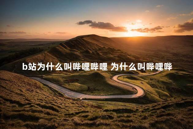 b站为什么叫哔哩哔哩 为什么叫哔哩哔哩